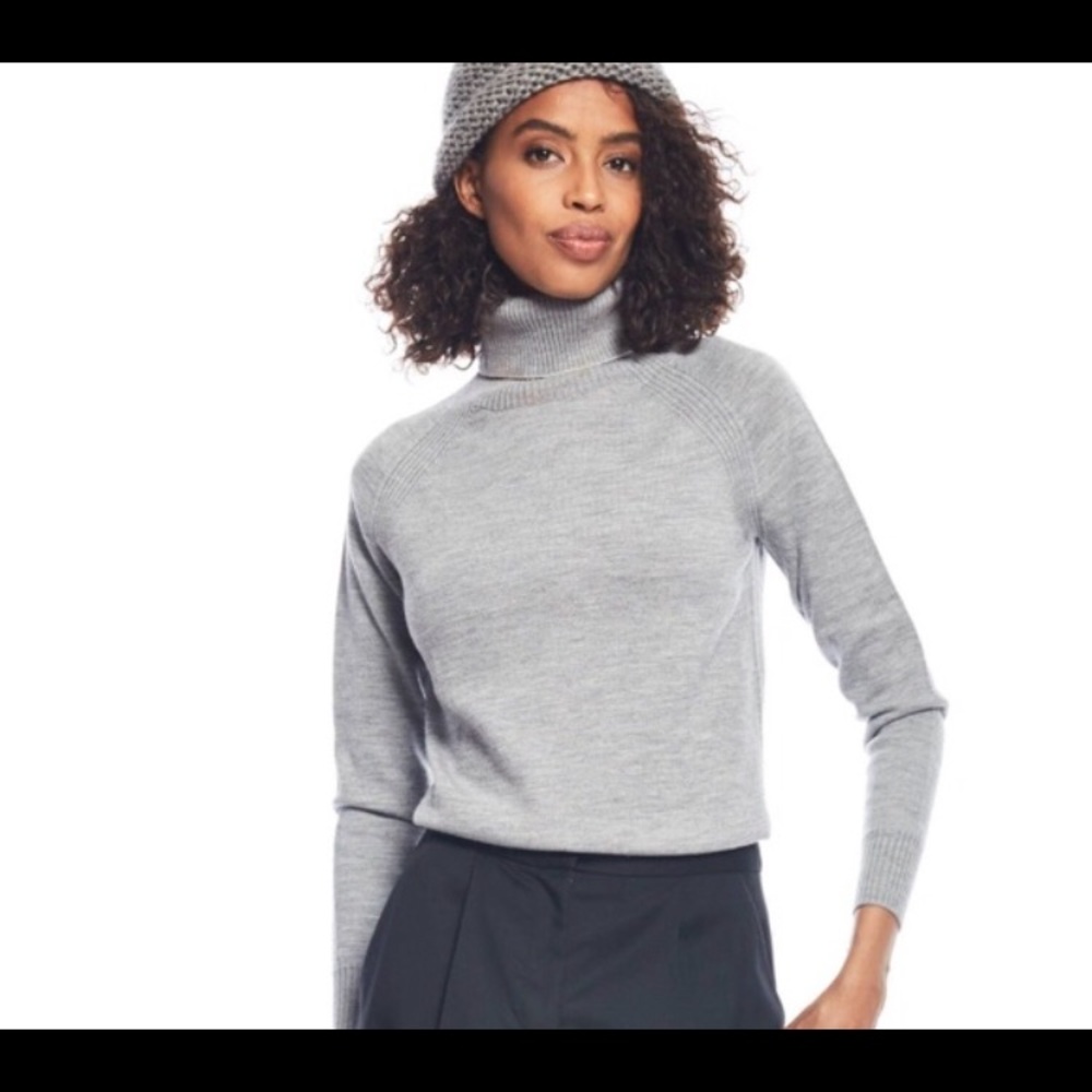 Zady Turtleneck 100% Wool Sweater